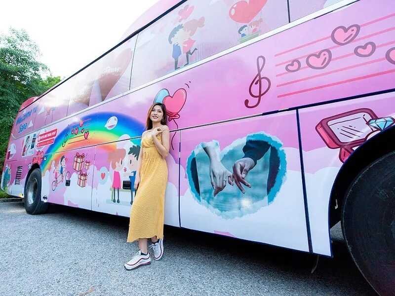 Danh Sách Nhà Xe Chạy Tuyến Đà Lạt đi Vũng Tàu - Xe Giường Nằm