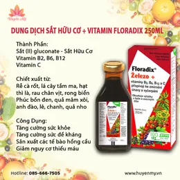 Sắt Hữu Cơ và Vitamin Dạng Lỏng Floradix 250ml