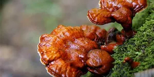 Lão hóa da ở phụ nữ sau tuổi 30