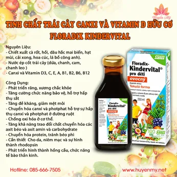 Dung Dịch Trái Cây Bổ Sung Canxi và Vitamin D Hữu Cơ Floradix Kindervital 250ml