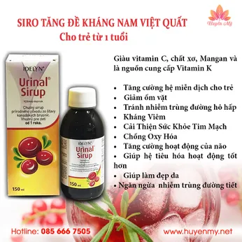 Siro Tăng Đề Kháng Nam Việt Quất Cho Trẻ Từ 1 Tuổi