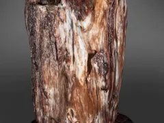 Những ưu điểm của Petrified Wood - Gỗ hóa thạch | CTjade