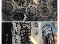 Tìm hiểu về hóa thạch San Hô thiên nhiên