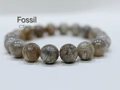 San hô hóa thạch luôn được yêu thích và trân quý khi đeo vì sao?