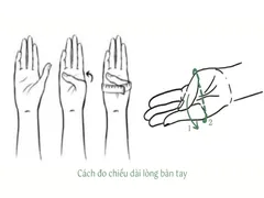 Cách đo tính ni tay đeo vòng bản đảm bảo vừa
