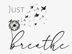 Tự thân Hơi Thở có thể chữa lành các vấn đề về cảm xúc và sức khỏe. Nhập môn học thở một cách khoa học!