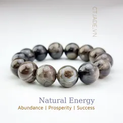 Mẫu 220612 Vòng tay hộ mệnh đá Gỗ hóa thạch thiên nhiên CTjade