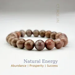 Mẫu 220604 Vòng tay hộ mệnh đá Gỗ hóa thạch thiên nhiên CTjade