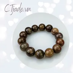 Vòng Tay Gỗ Hóa Thạch CTjade | Mẫu 20112811