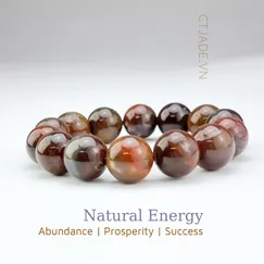 Mẫu 220609 Vòng tay hộ mệnh đá Gỗ hóa thạch thiên nhiên CTjade