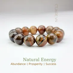 Mẫu 220607 Vòng tay hộ mệnh đá Gỗ hóa thạch thiên nhiên CTjade