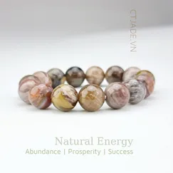 Mẫu 220606 Vòng tay hộ mệnh đá Gỗ hóa thạch thiên nhiên CTjade