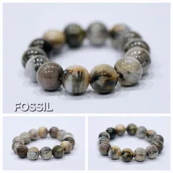 2404051 Vòng gỗ hóa thạch cao cấp CTjade, thượng phẩm hóa thạch!