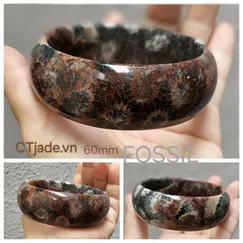 FC240803 Vòng Hóa Thạch San Hô CTjade.vn