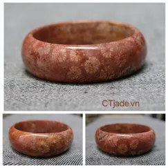 FC24092323 Vòng Hóa Thạch San Hô CTjade.vn