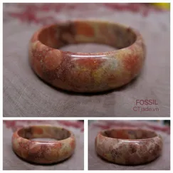 FC2409223 Vòng Hóa Thạch San Hô CTjade.vn