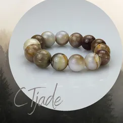 Vòng Tay Gỗ Hóa Thạch CTjade | Mẫu 20112307