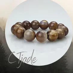 Vòng Tay Gỗ Hóa Thạch CTjade | Mẫu 20112321