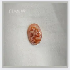 FLASH SALE 8.6.23 Đá phong thủy may mắn thịnh vượng tuyệt đẹp đồng giá Phát Lộc 86K