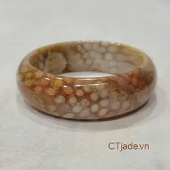 2502142 Vòng hóa thạch san hô cao cấp CTjade.vn