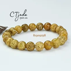 Vòng Tay Đá Ocean Jasper 8ly | Mẫu 81909238 | Trang sức cao cấp thương hiệu Việt CTjade