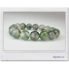 Mẫu A2106120 | Vòng Tay Ngọc Băng Tảo CTjade Vòng Tay Moss Agate