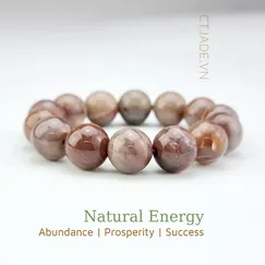 Mẫu 220603 Vòng tay hộ mệnh đá Gỗ hóa thạch thiên nhiên CTjade