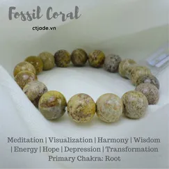 Vòng Tay Đá San Hô Thiên Nhiên | CTjade | Mẫu 2004045