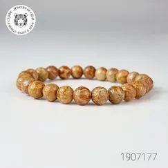 Trang sức đá phong thủy hộ mệnh bình an, vòng tay đá San hô hóa thạch CTjade | Mẫu 1907177