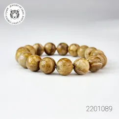 Vòng Fossil Đá Gỗ Hóa Thạch Mẫu 2201089 | Trang Sức Cao Cấp Thương Hiệu Việt CTjade
