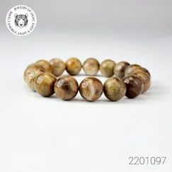 Vòng Fossil Đá Gỗ Hóa Thạch Mẫu 2201097 | Trang Sức Cao Cấp Thương Hiệu Việt CTjade