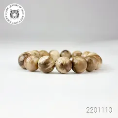 Vòng Fossil Đá Gỗ Hóa Thạch Mẫu 2201110 | Trang Sức Cao Cấp Thương Hiệu Việt CTjade