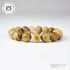 Vòng Fossil Đá Gỗ Hóa Thạch Mẫu 2201111 | Trang Sức Cao Cấp Thương Hiệu Việt CTjade