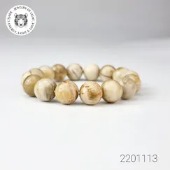 Vòng Fossil Đá Gỗ Hóa Thạch Mẫu 2201113 | Trang Sức Cao Cấp Thương Hiệu Việt CTjade