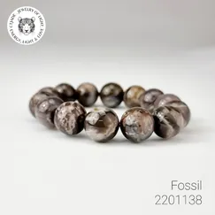 Vòng Fossil Đá Gỗ Hóa Thạch Mẫu 2201138 | Trang Sức Cao Cấp Thương Hiệu Việt CTjade