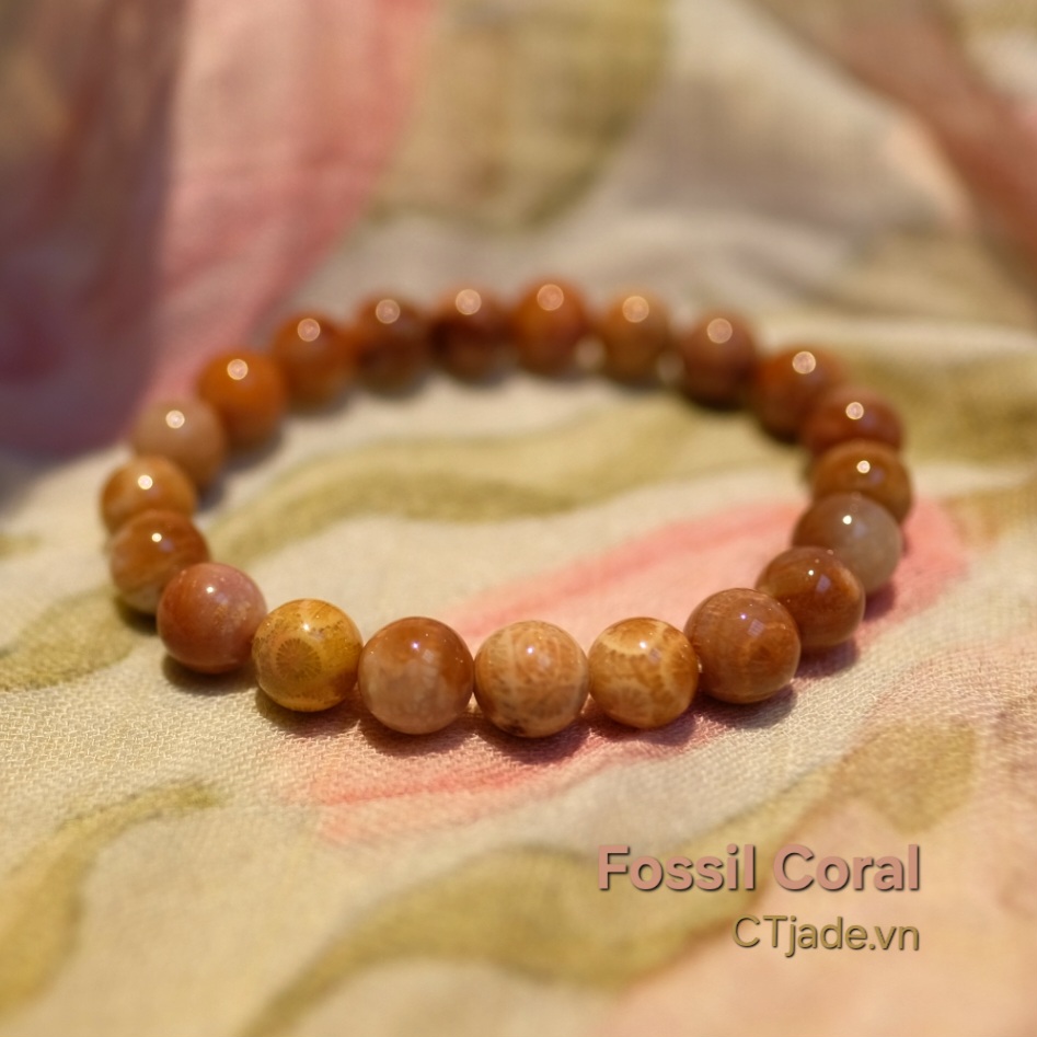 Vòng chuỗi đeo tay San Hô Hóa Thạch CTjade 2403071 Vòng chuỗi đeo tay San Hô Hóa Thạch CTjade 2403071