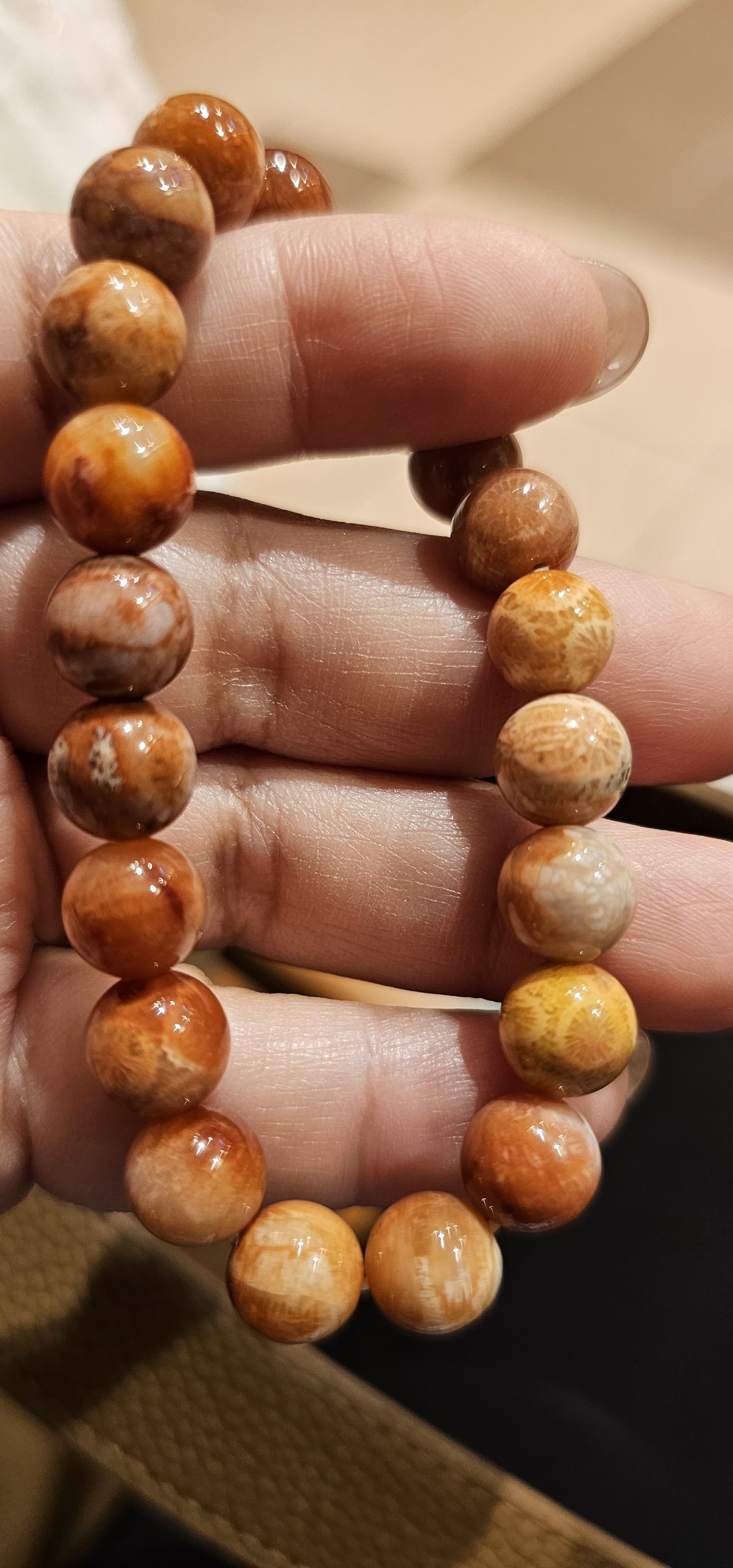 Vòng chuỗi tay san hô hóa thạch 2403071 Vòng chuỗi tay san hô hóa thạch 2403071