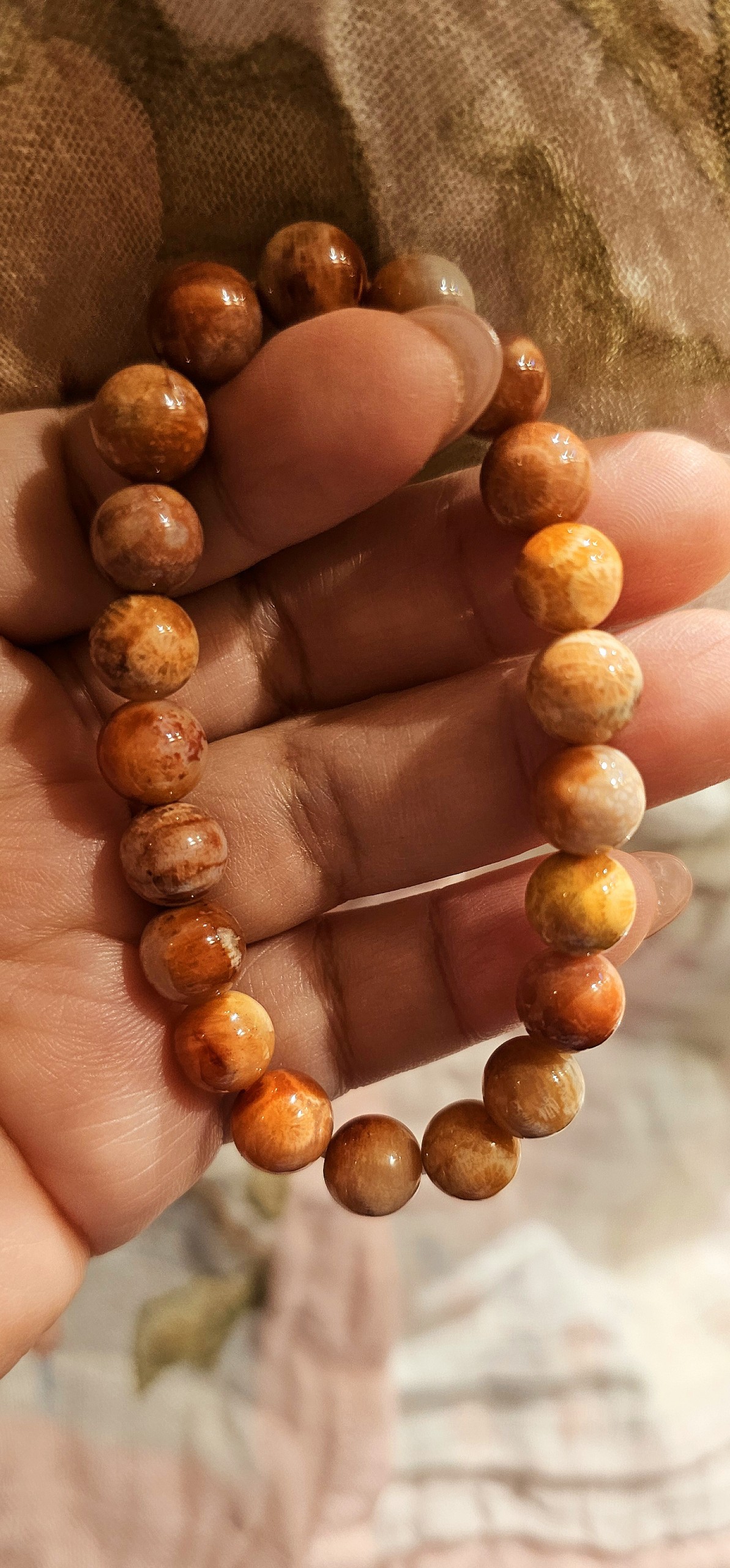 Vòng chuỗi tay san hô hóa thạch 2403071 Vòng chuỗi tay san hô hóa thạch 2403071