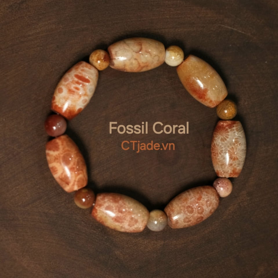 Vòng hóa thạch San Hô Vintage ấn tượng Vòng hóa thạch San Hô Vintage ấn tượng
