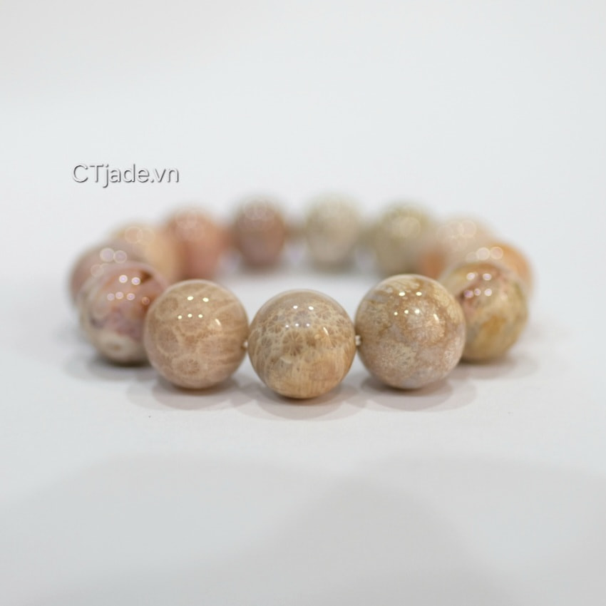 Vòng tay san hô hóa thach 2403201 CTjade.vn  Vòng tay san hô hóa thach 2403201 CTjade.vn