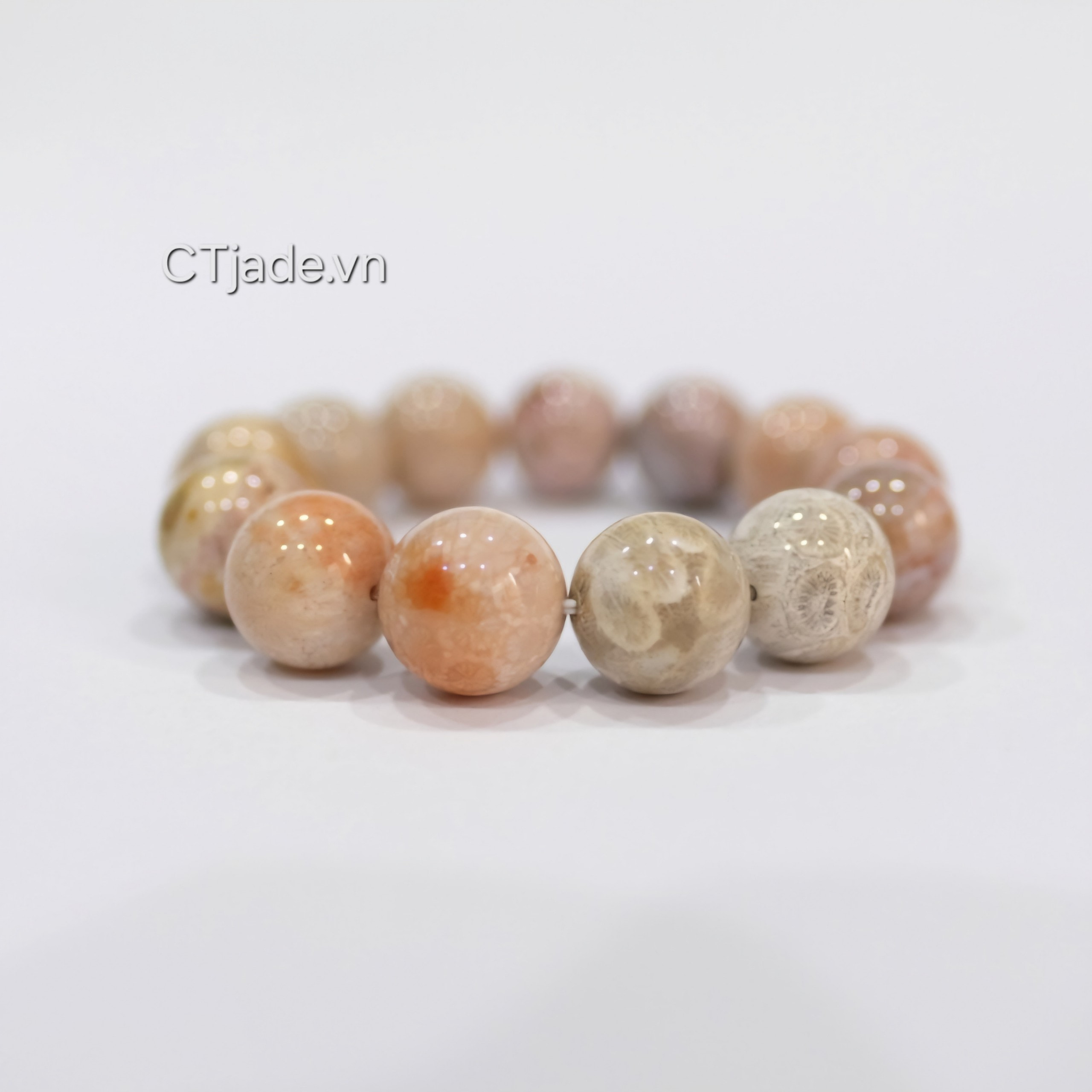 Vòng tay san hô hóa thach 2403201 CTjade.vn  Vòng tay san hô hóa thach 2403201 CTjade.vn