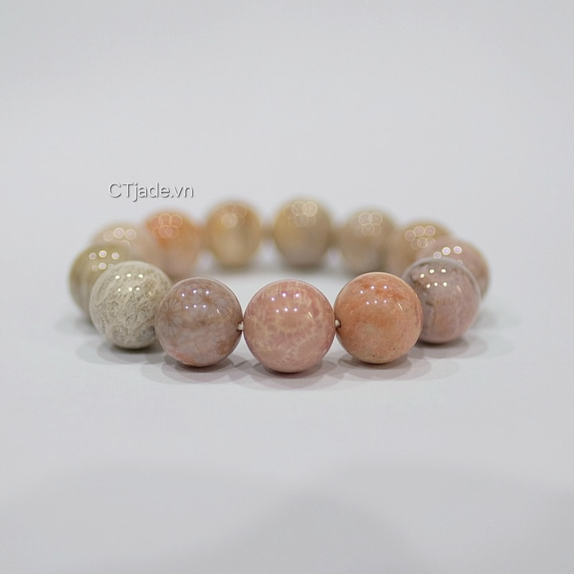 Vòng tay san hô hóa thach 2403201 CTjade.vn  Vòng tay san hô hóa thach 2403201 CTjade.vn