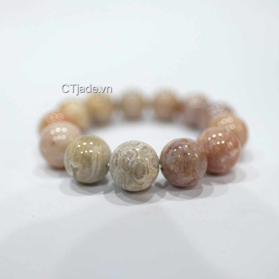 Vòng tay san hô hóa thach 2403201 CTjade.vn  Vòng tay san hô hóa thach 2403201 CTjade.vn