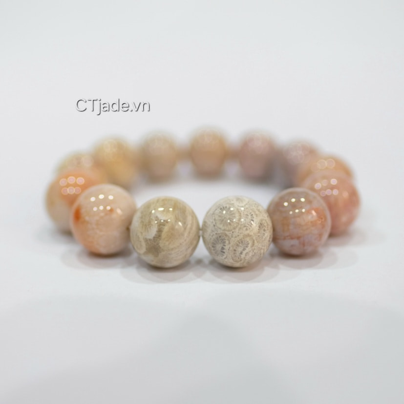 Vòng tay san hô hóa thach 2403201 CTjade.vn  Vòng tay san hô hóa thach 2403201 CTjade.vn