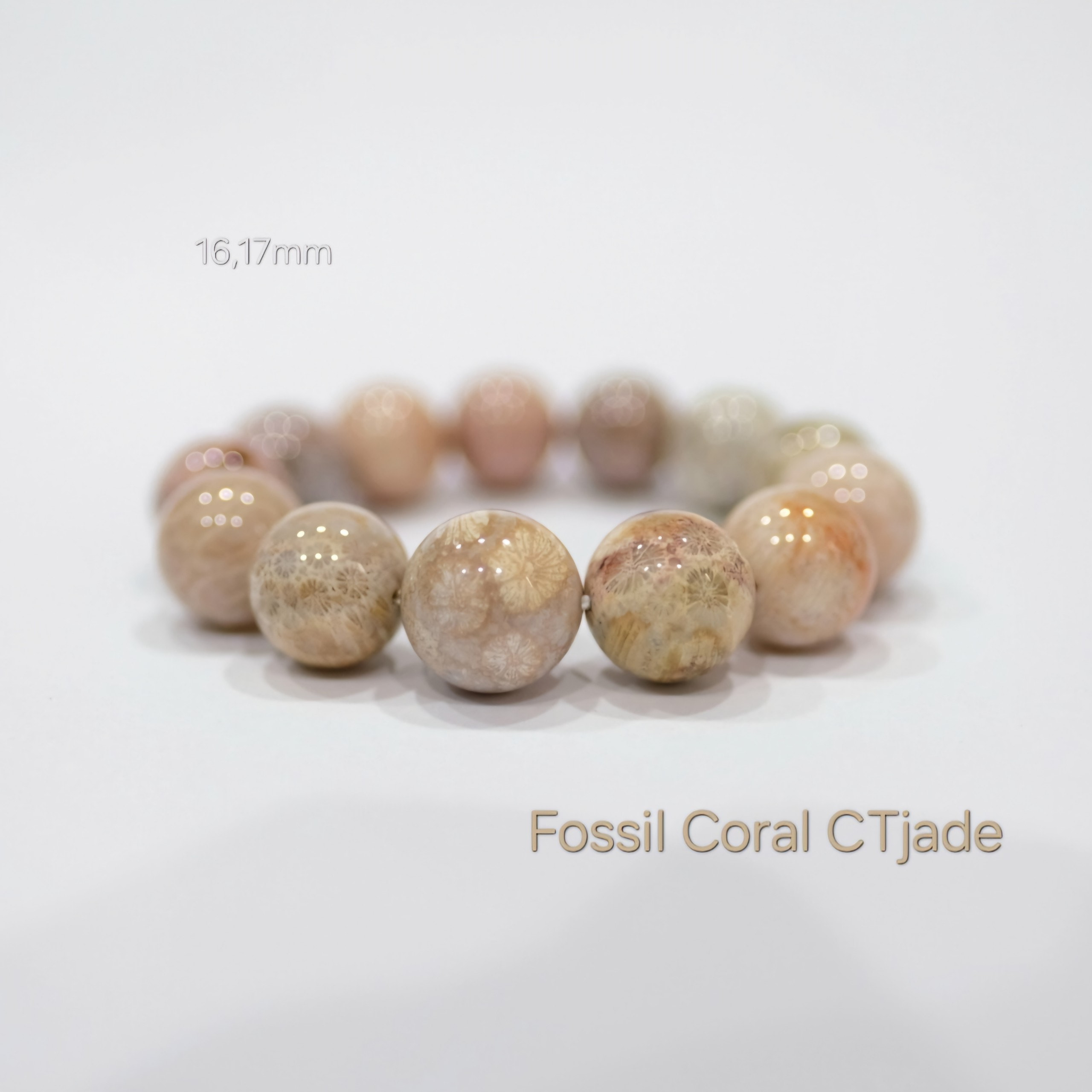 Vòng tay san hô hóa thach 2403201 CTjade.vn  Vòng tay san hô hóa thach 2403201 CTjade.vn