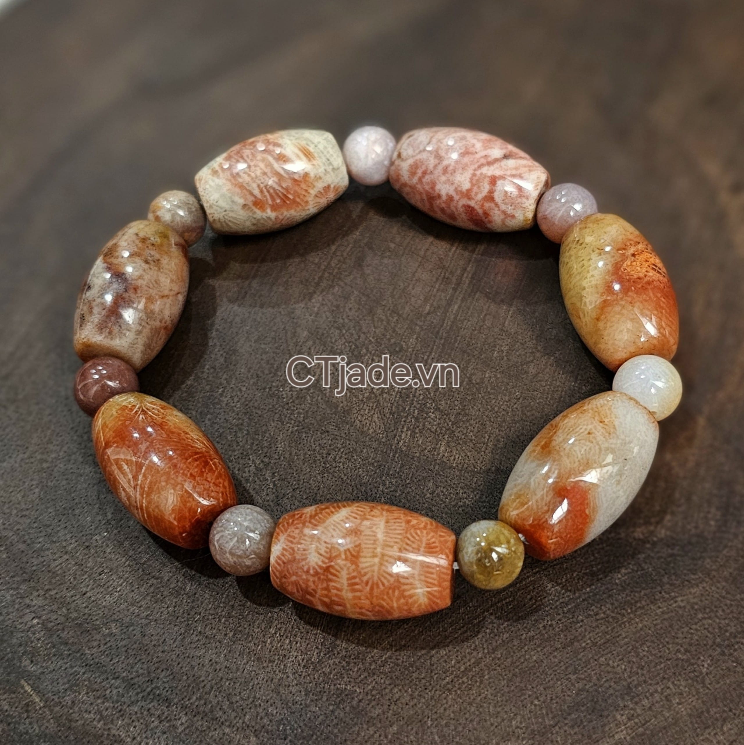 Vòng San Hô hóa thạch thien nhiên hàng ngàn năm tuổi Vòng San Hô hóa thạch thien nhiên hàng ngàn năm tuổi