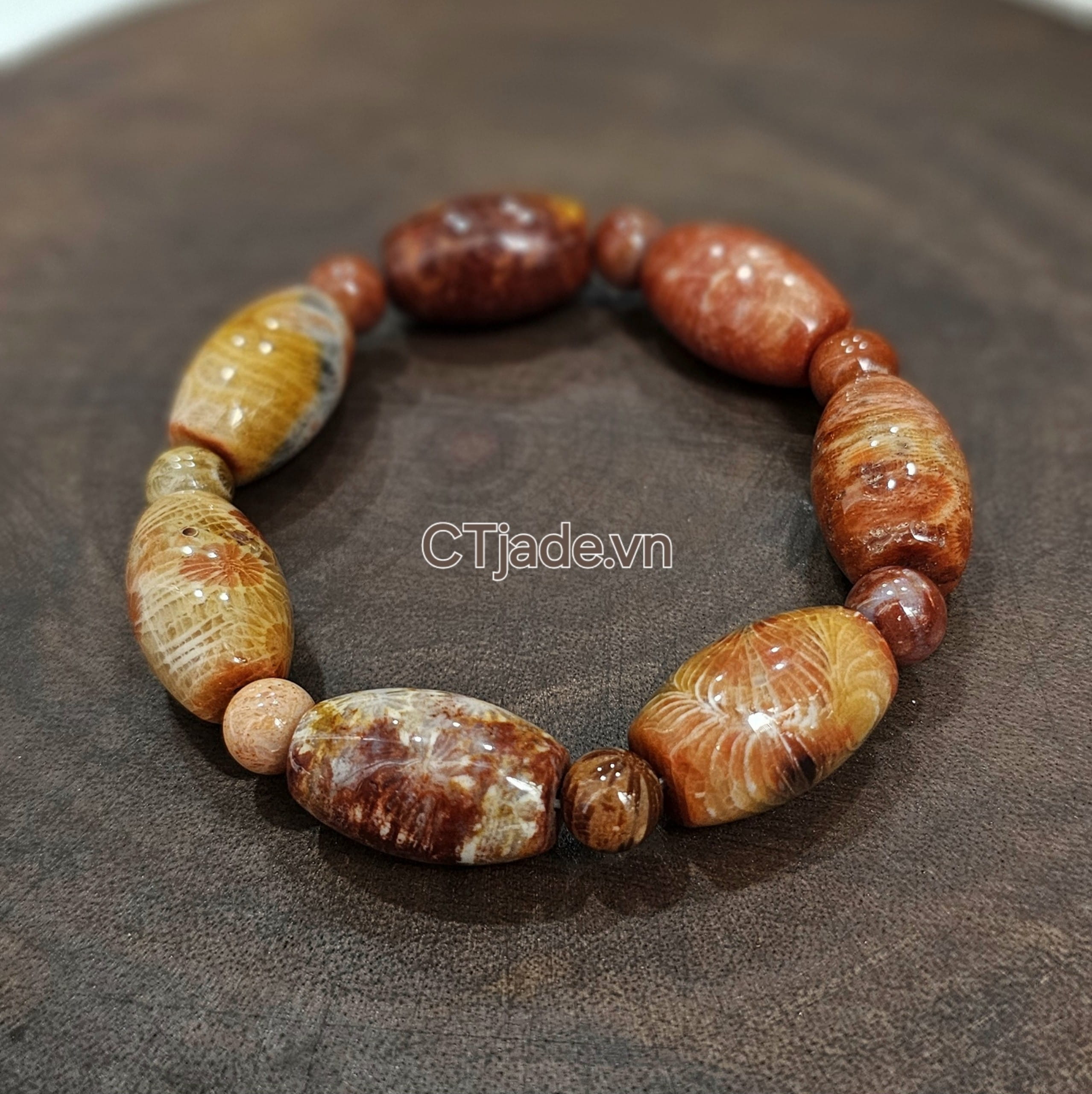 Vòng hóa thạch San Hô Vintage ấn tượng Vòng hóa thạch San Hô Vintage ấn tượng