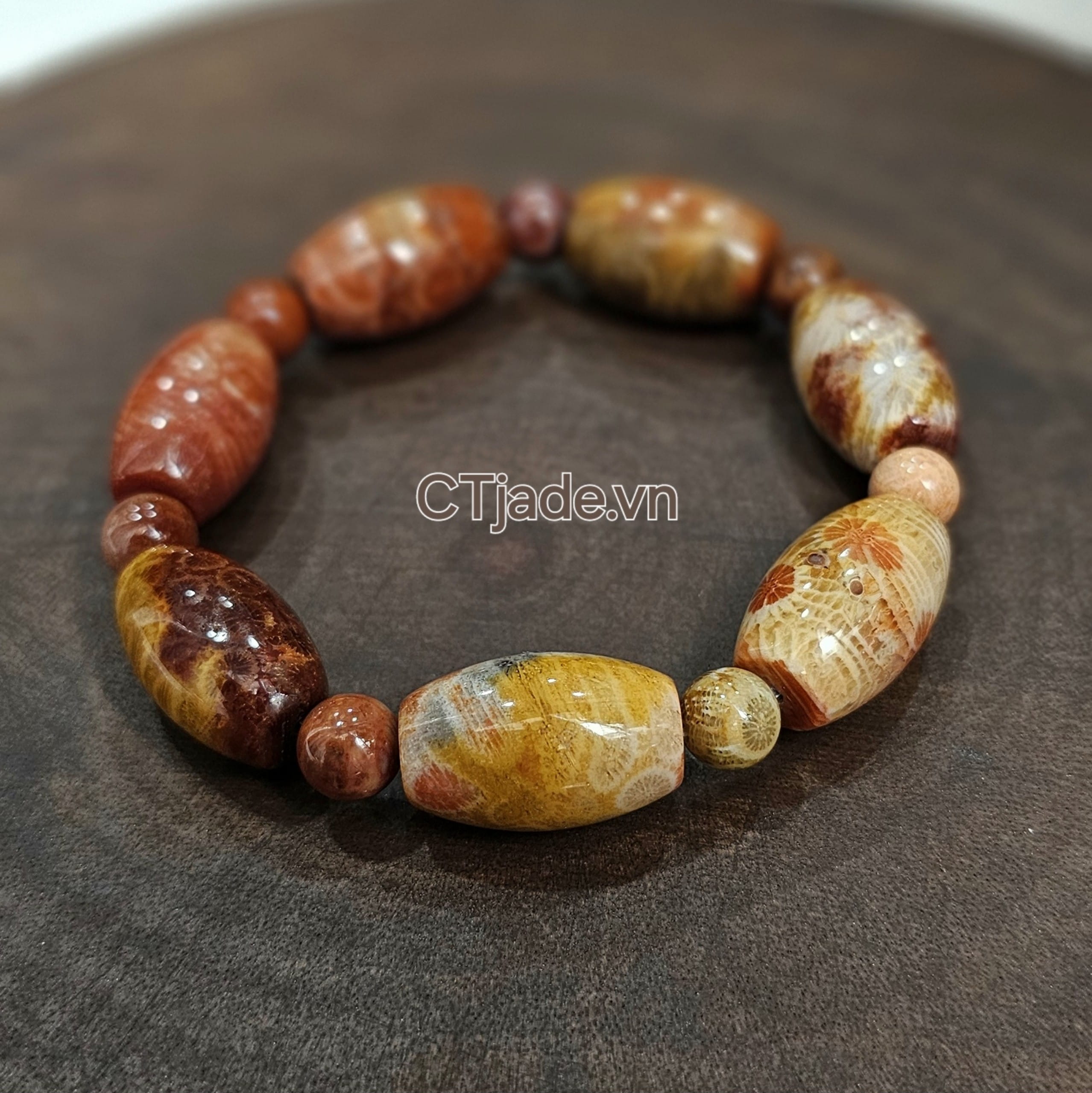 Vòng hóa thạch San Hô Vintage ấn tượng Vòng hóa thạch San Hô Vintage ấn tượng