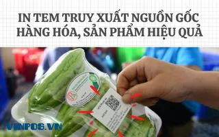 IN TEM TRUY XUẤT NGUỒN GỐC HÀNG HÓA, SẢN PHẨM HIỆU QUẢ