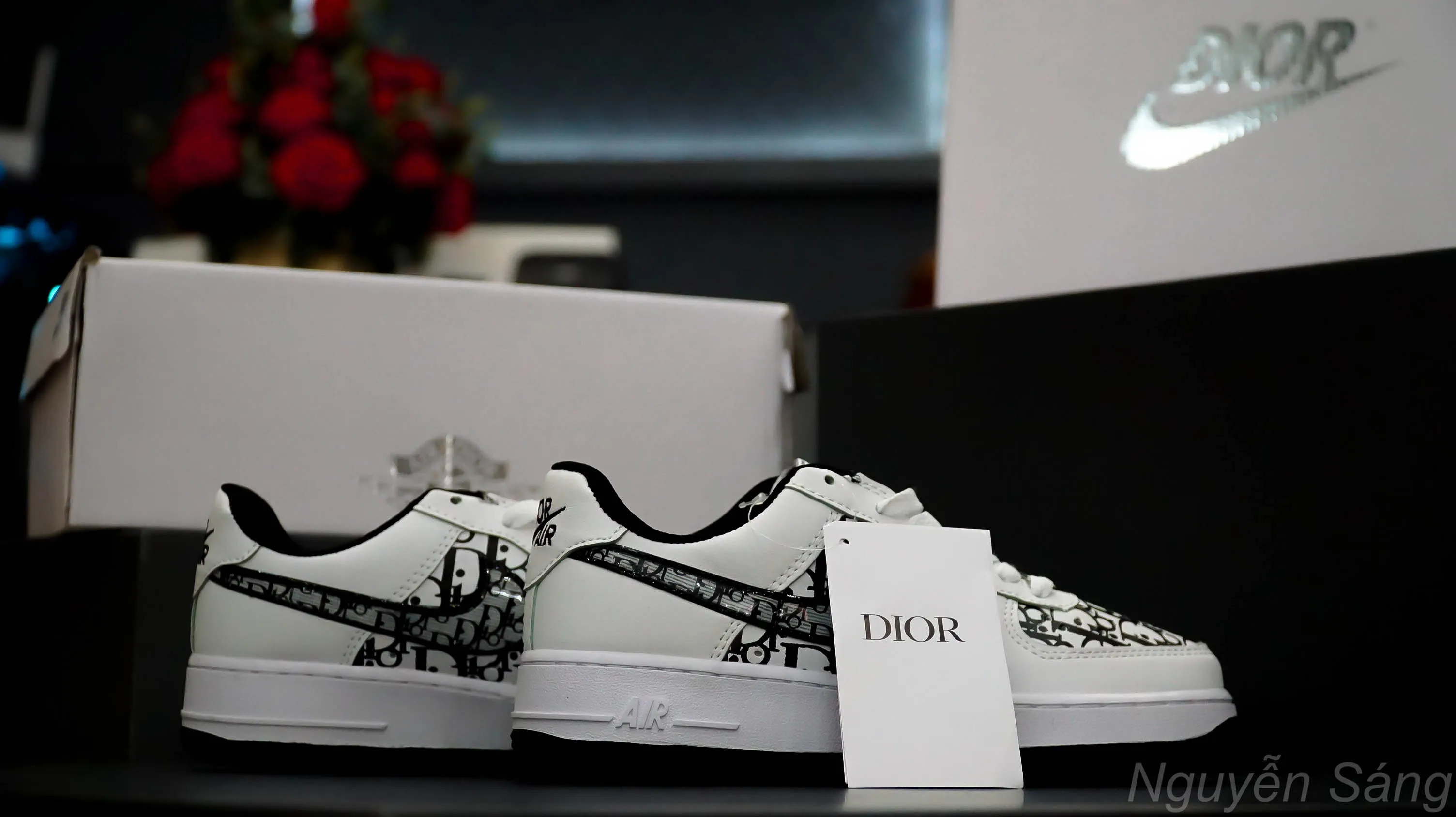 Dior x Nike Air Force 1